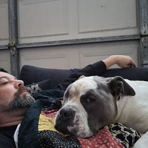 Meet your Posher, Jamie